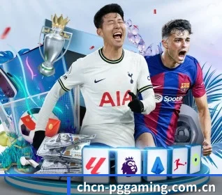 pg APP 界面